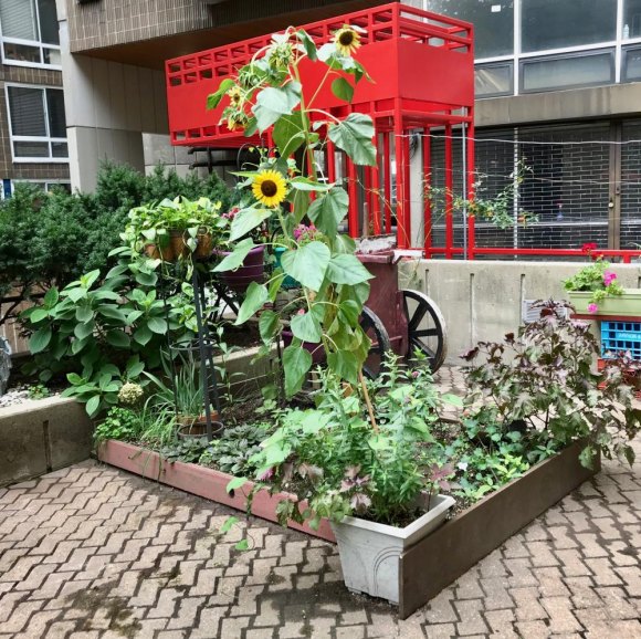 RISC Garden Terrace: A Thing of Beauty is a Joy Forever RISC Garden Terrace: A Thing of Beauty is a Joy Forever